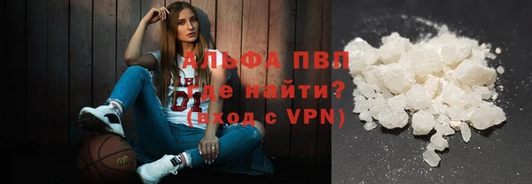 винт Лагань