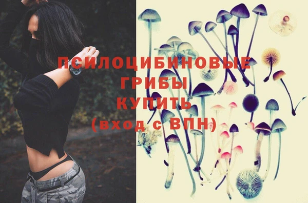 кокс Кукмор