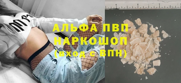 винт Лагань
