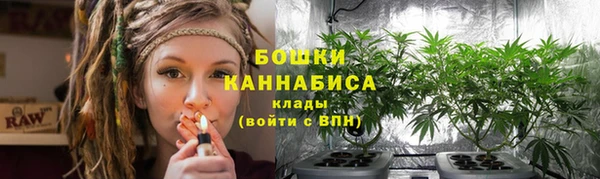 винт Лагань