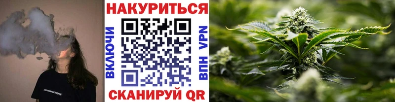 Купить закладки  Лахденпохья  Конопля конопля 